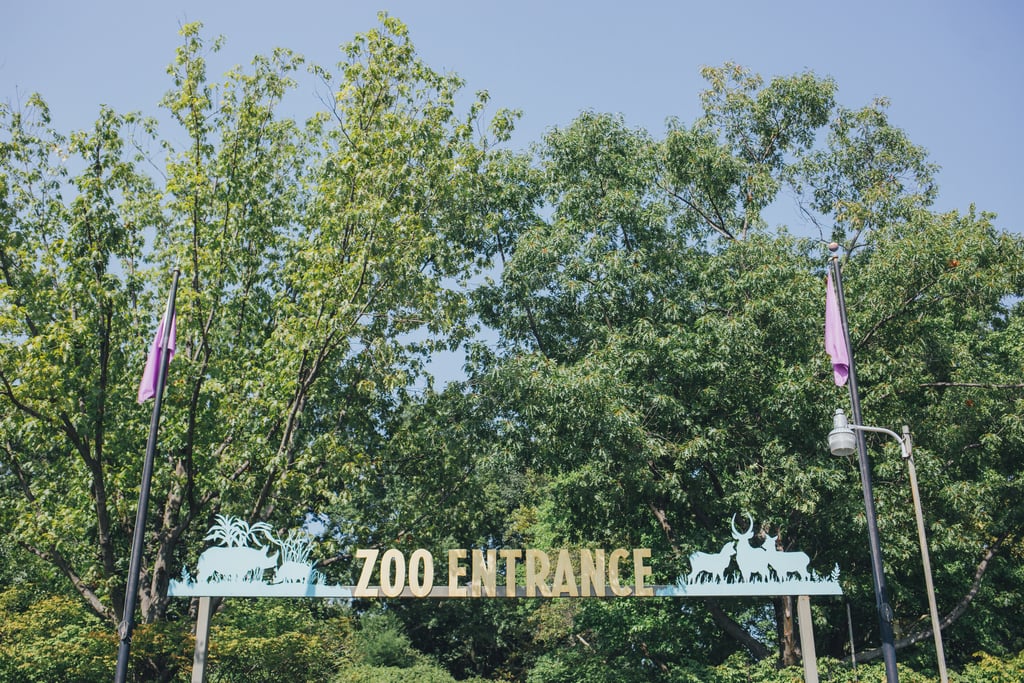 Bronx Zoo Wedding