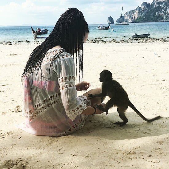 Monkey Beach in Thailand