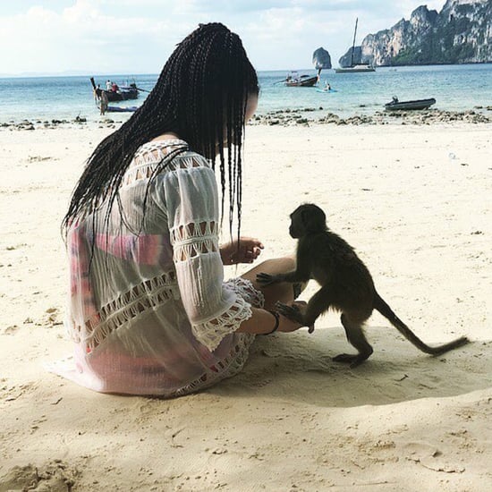 شاطئ القرود في تايلند