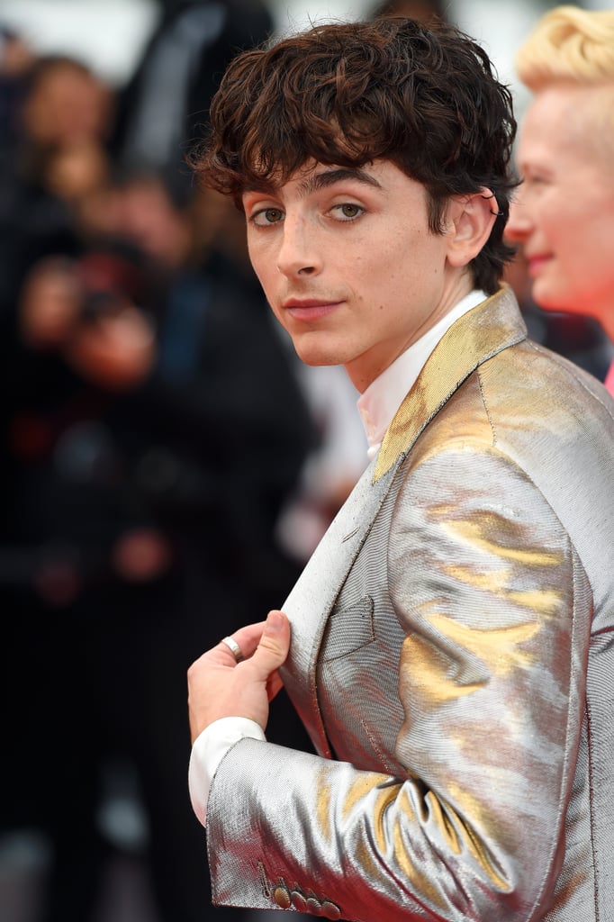 Timothée Chalamet Wears Silver Suit Outfit to Cannes: Photos