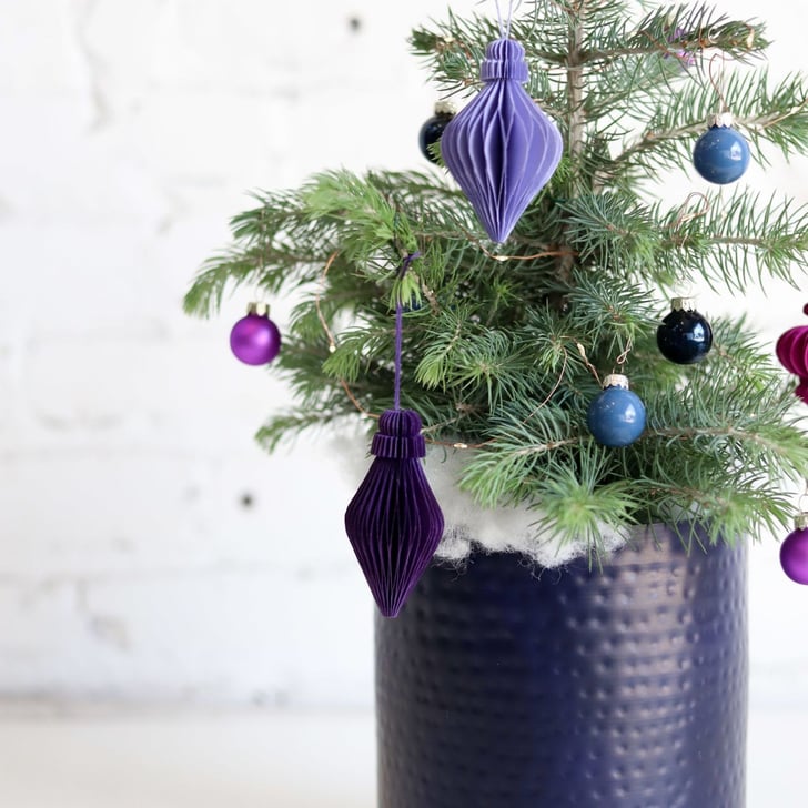 Farmgirl Flowers Blue Ridge Mountain Christmas Tree Best Live