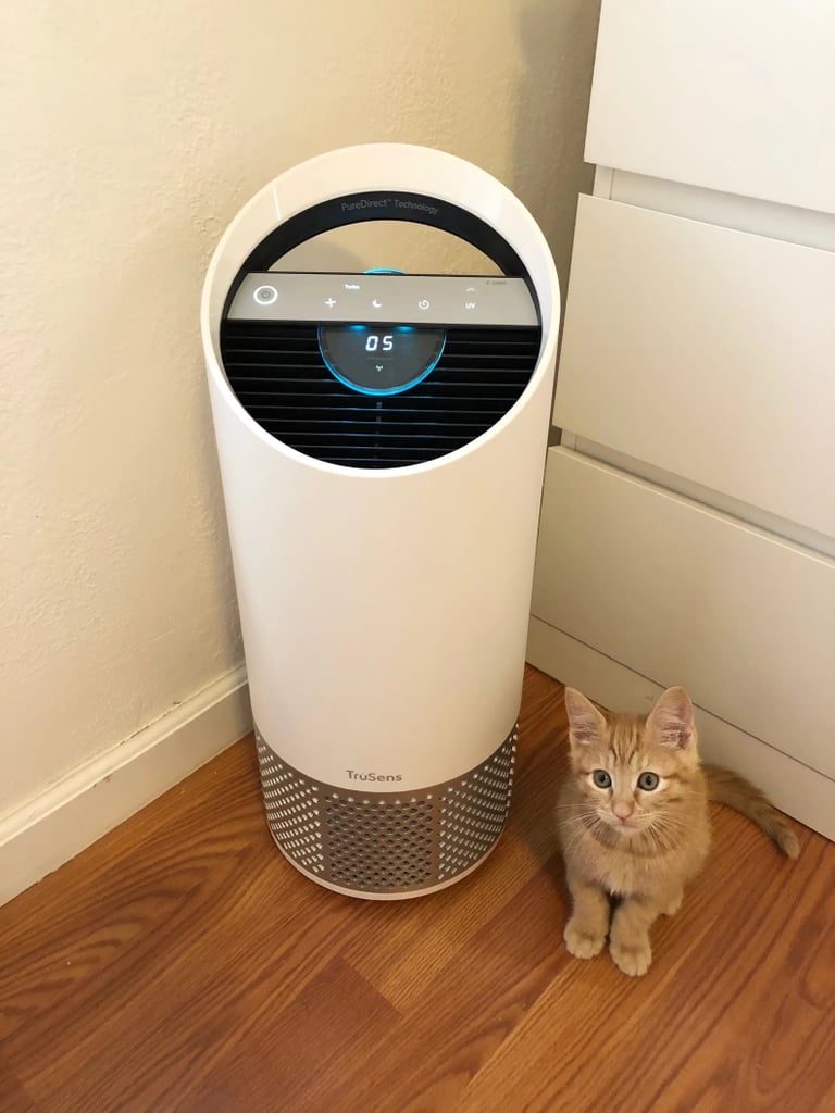 Best Smart Air Purifier