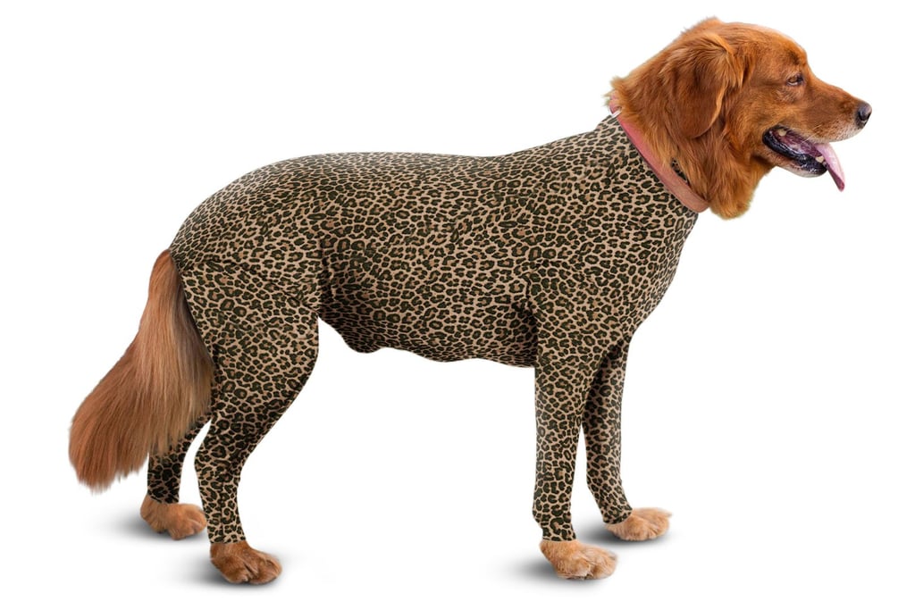 Shed Defender Dog Leotards POPSUGAR Family