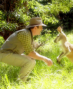 That Time He Got Too Close to a Kangaroo