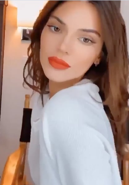 Kendall Jenner Auburn Hair Colour See The Photos Popsugar