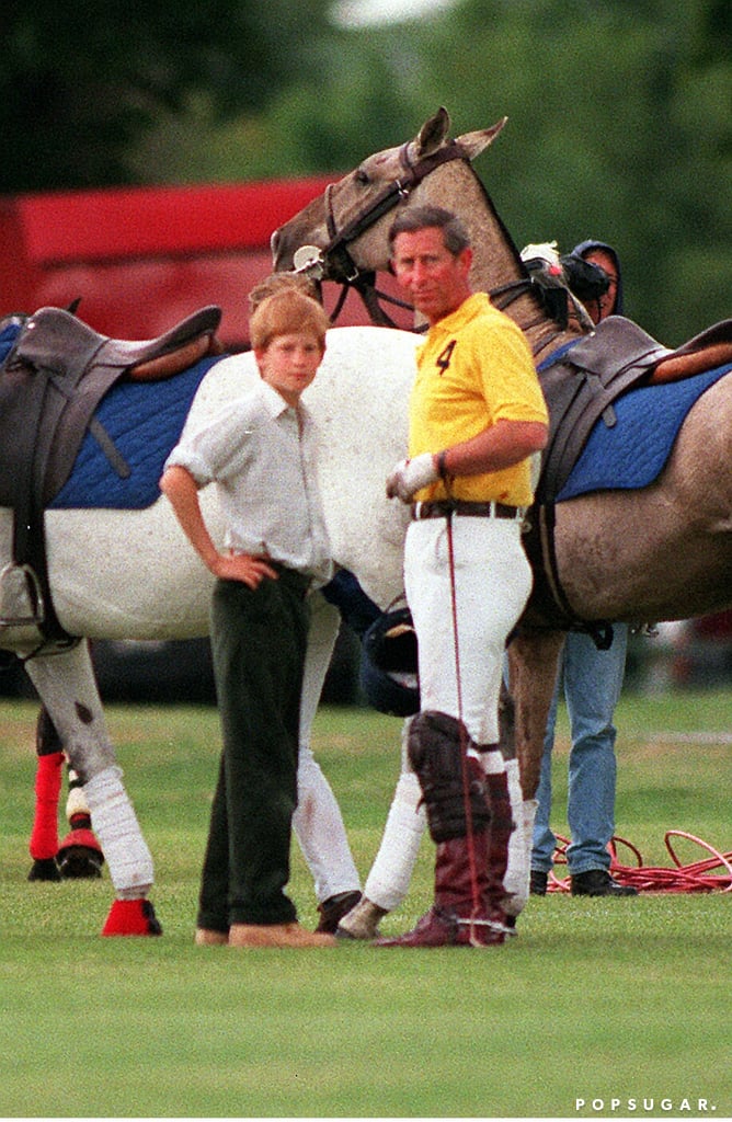 Prince Harry and Prince Charles Pictures