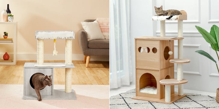 simple cat room ideas
