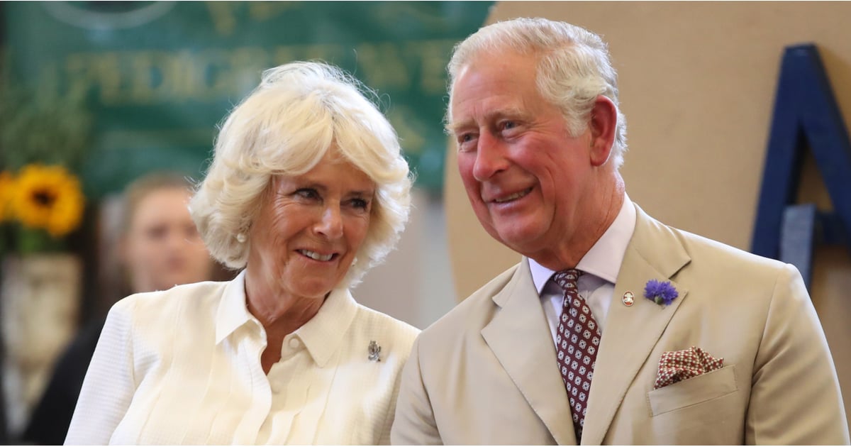 Prince Charles and Camilla Relationship Facts | POPSUGAR Celebrity