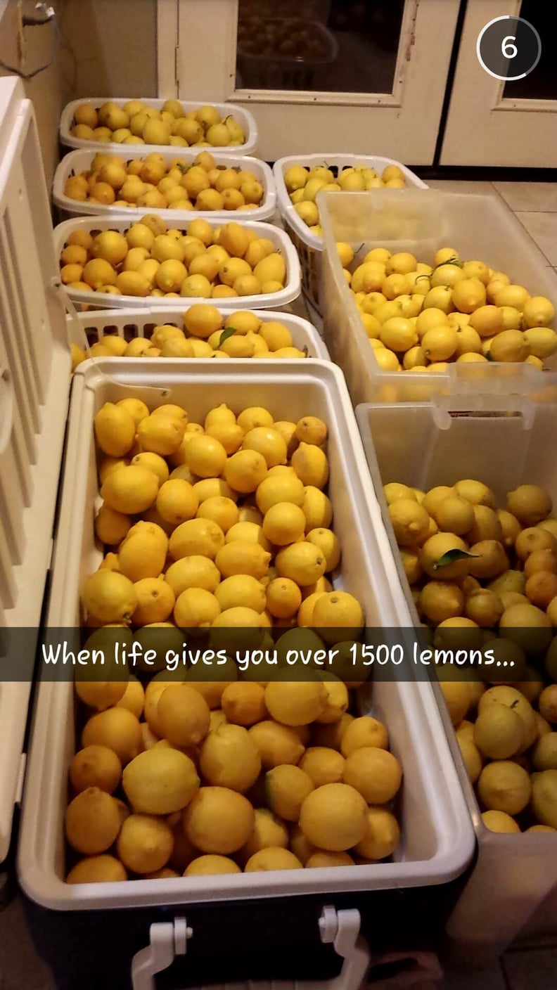 Lemons on Lemons