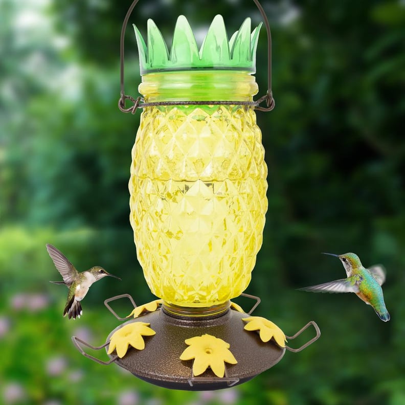 A Pineapple Feeder: Perky-Pet Pineapple Top-Fill Decorative Glass Hummingbird Feeder