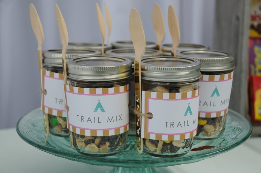 Outdoor Camping Birthday Party Ideas