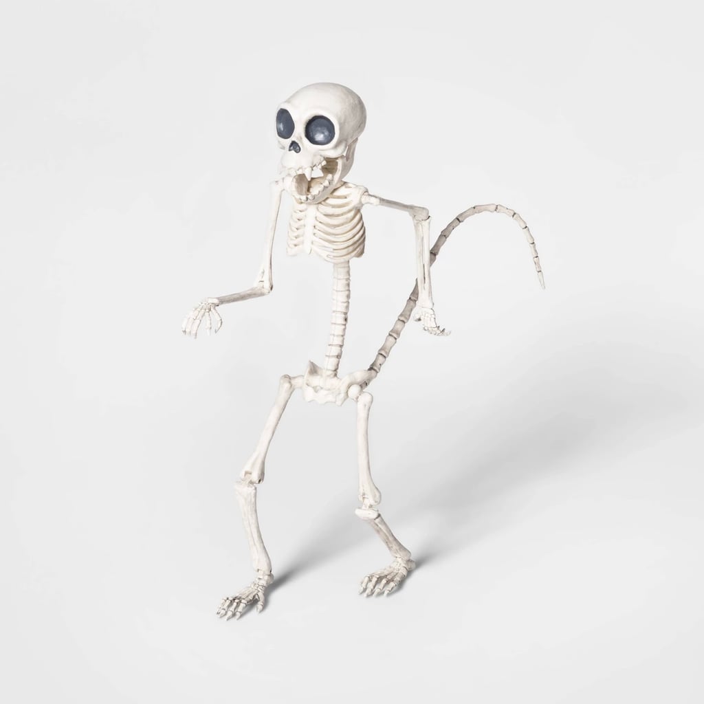 Monkey Skeleton