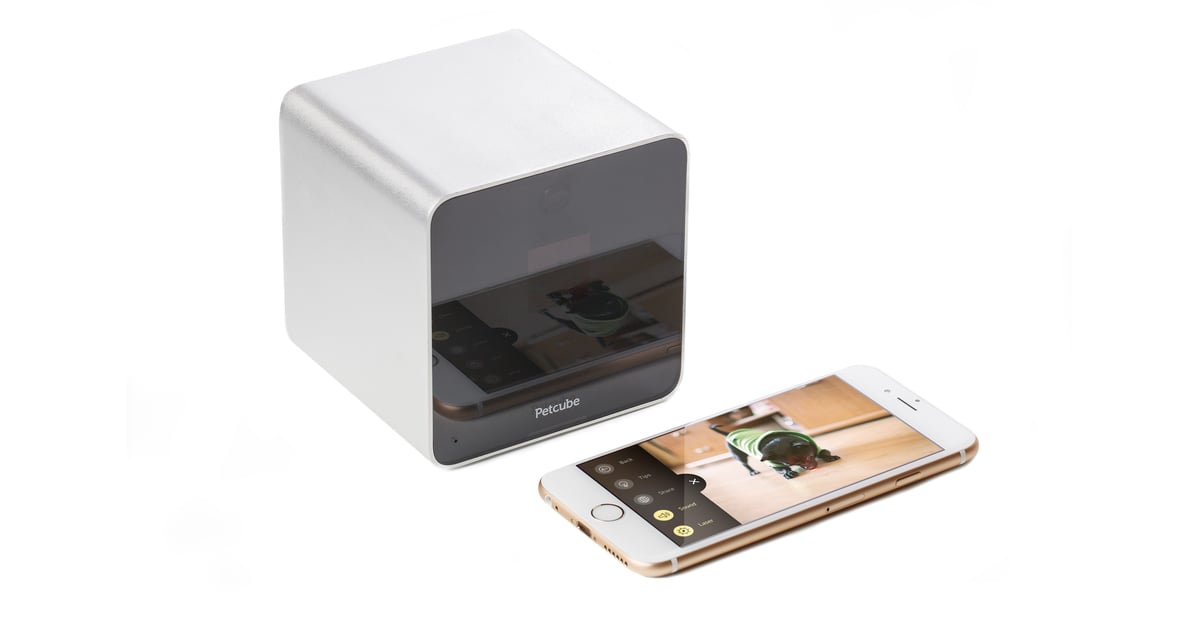 Petcube Best SmartHome Gadgets 2015 POPSUGAR Tech Photo 3