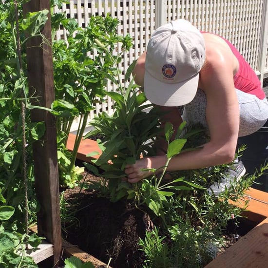 The Right Way to Prepare Your Garden For the Next Season