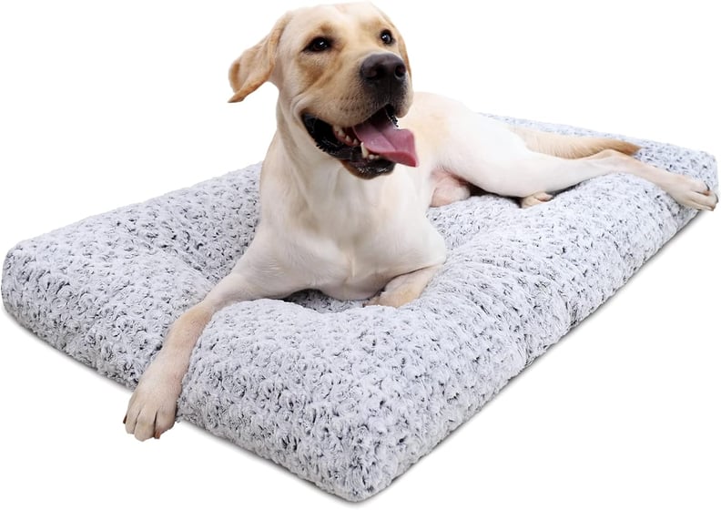 Best Kennel Pad