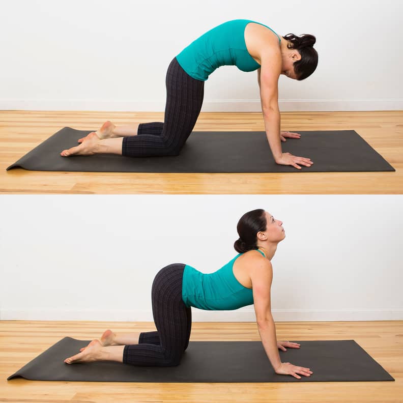 Cat Cow Yoga Pose
