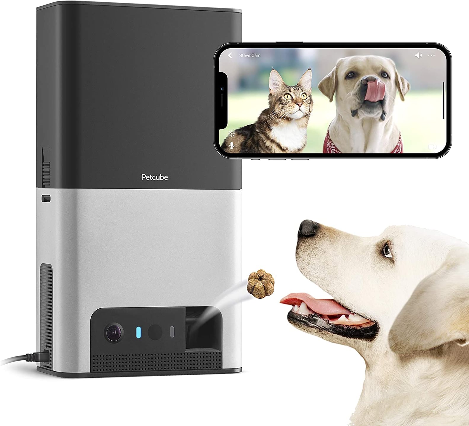 Best Pets Products on Amazon Launchpad POPSUGAR Smart Living