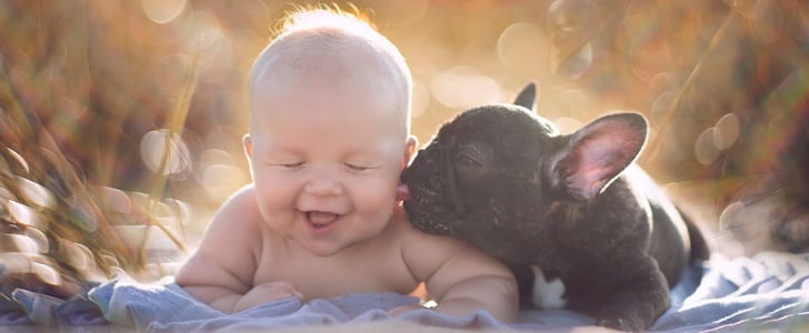 Baby and French Bulldog Pictures