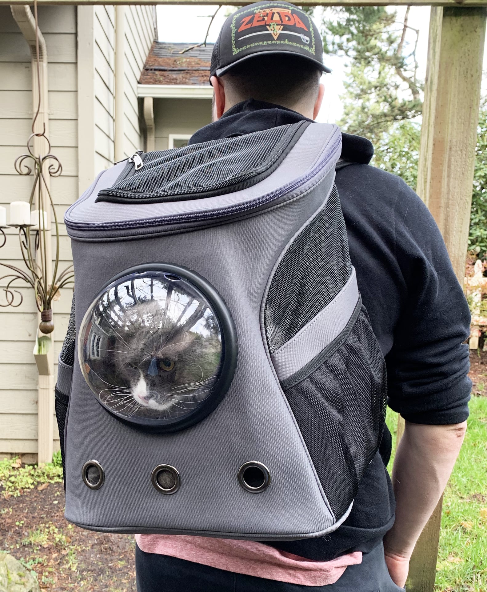 Taylor Swift's Cat Backpack, Review With Pictures | PS Pets