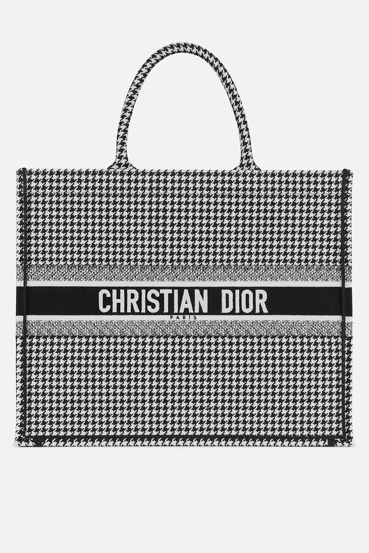 dior bookbag