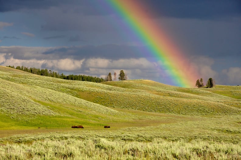 Because without rain, there would be no rainbows.