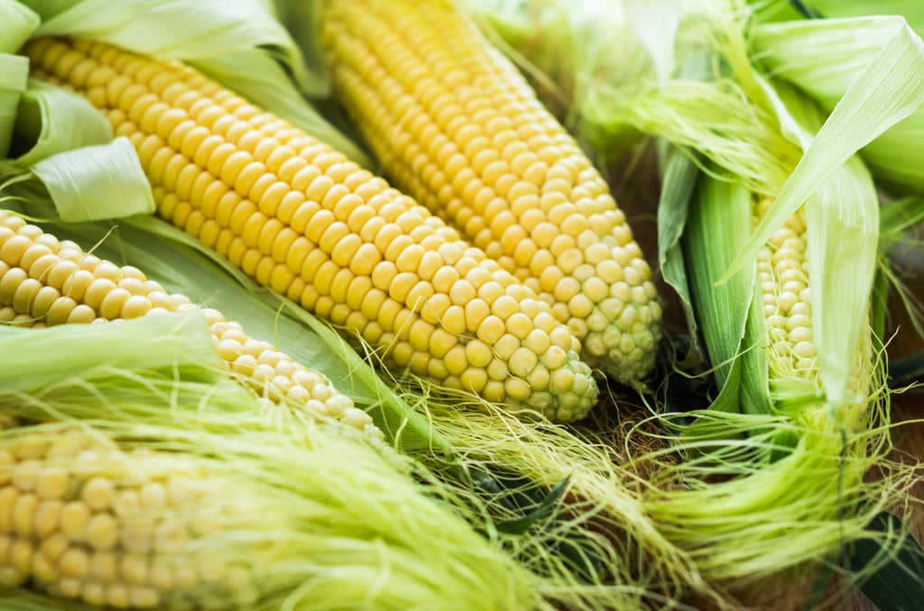 Corn