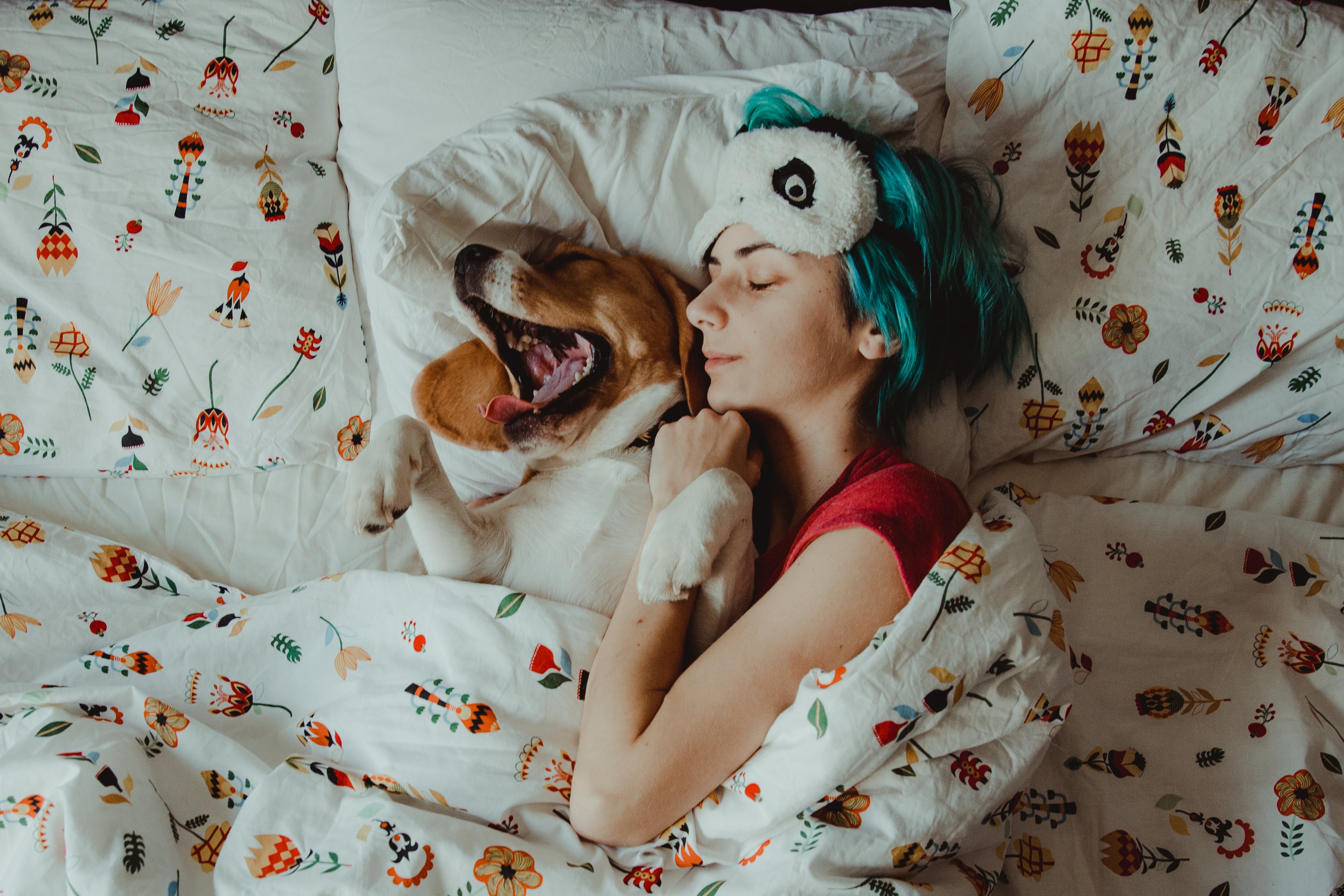 Should I Let My Dog Sleep in My Bed? POPSUGAR Pets