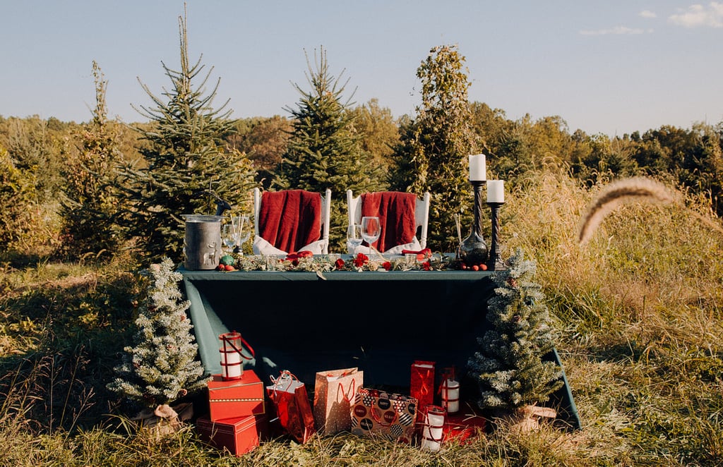 Inspiration For a Rustic Christmas Tree Farm Wedding