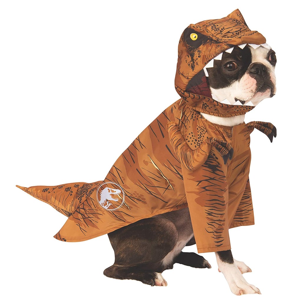 Dog Dinosaur Halloween Costume
 Dinosaur Dog Halloween Costumes 2018