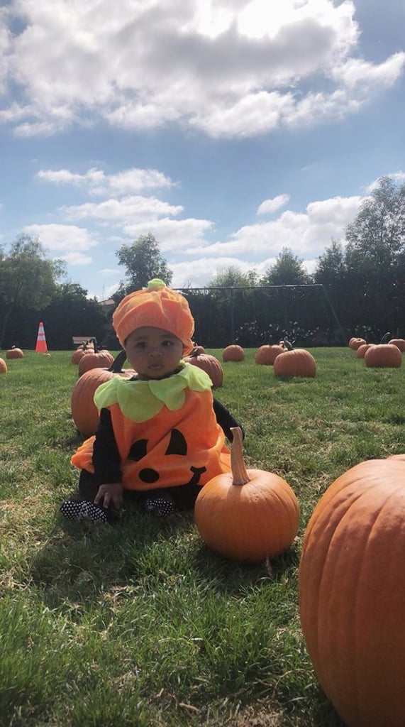 True Thompson as a Pumpkin