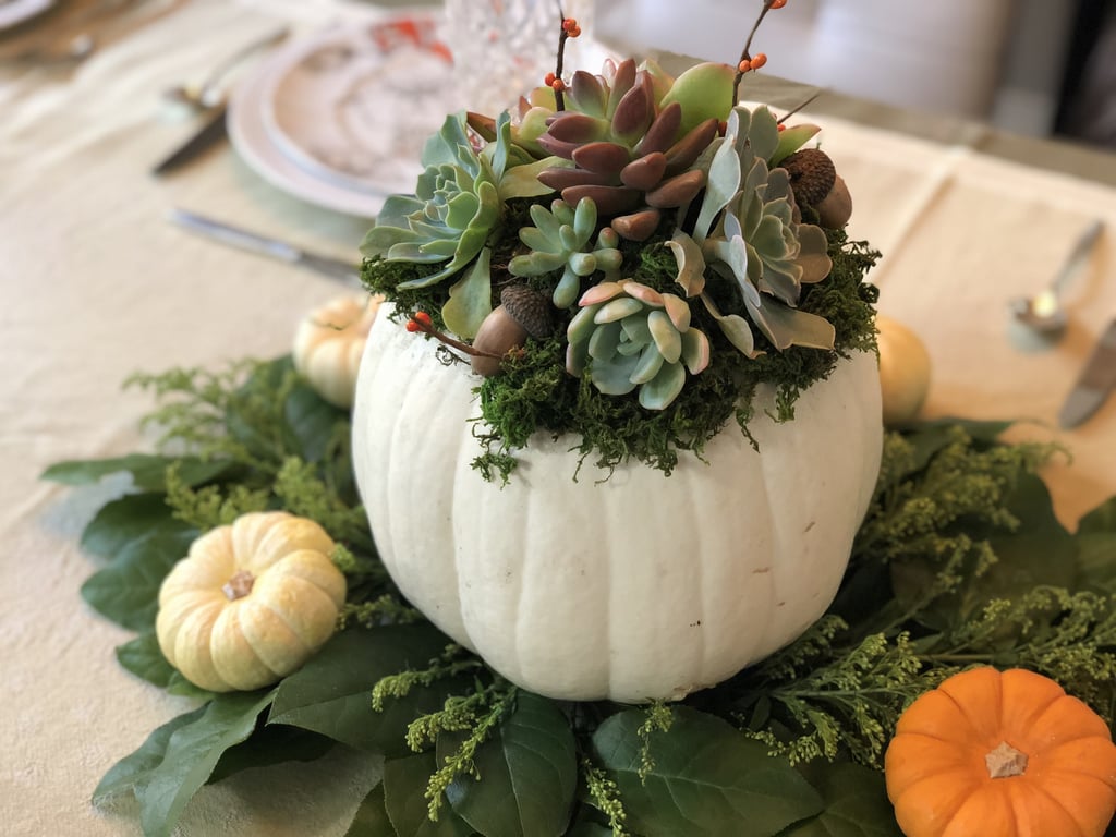 Succulent Pumpkin Decorating Ideas For Halloween and Fall