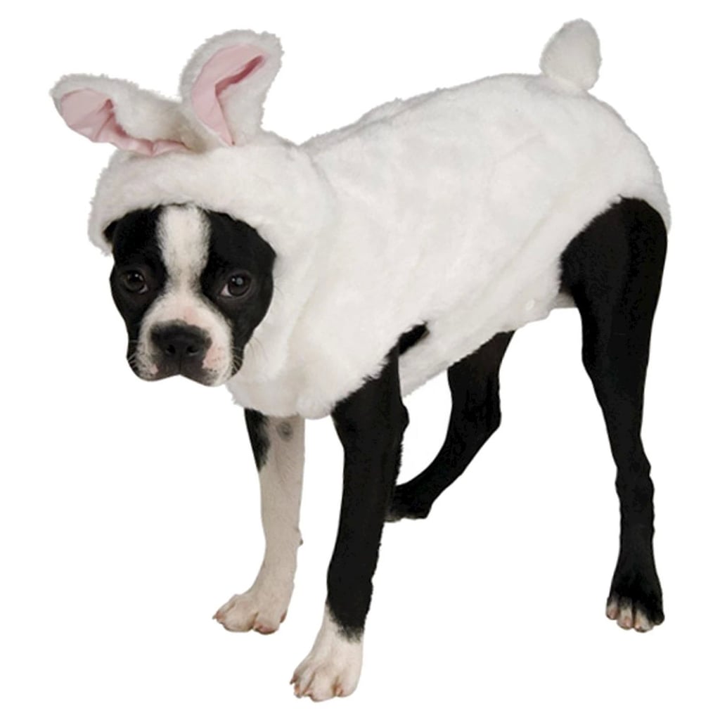 Bunny Dog Costume