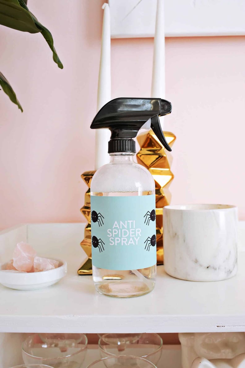 Anti-Spider Spray