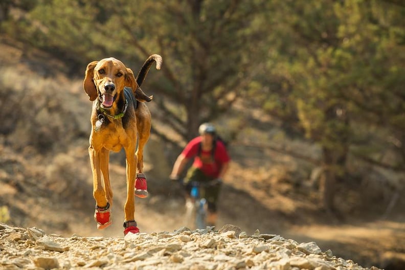 Grip Trex Dog Boot Pairs