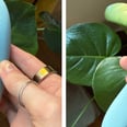 This Heated Vibrator Somehow Made Masturbating Even Hotter