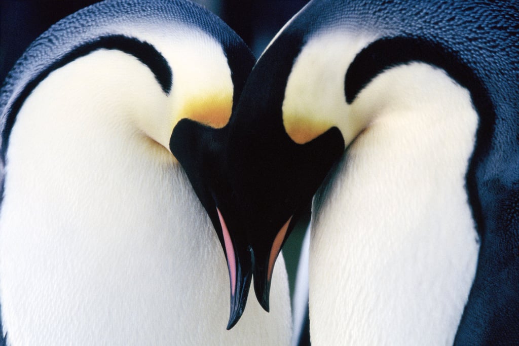 Winter Movies For Kids Popsugar Family