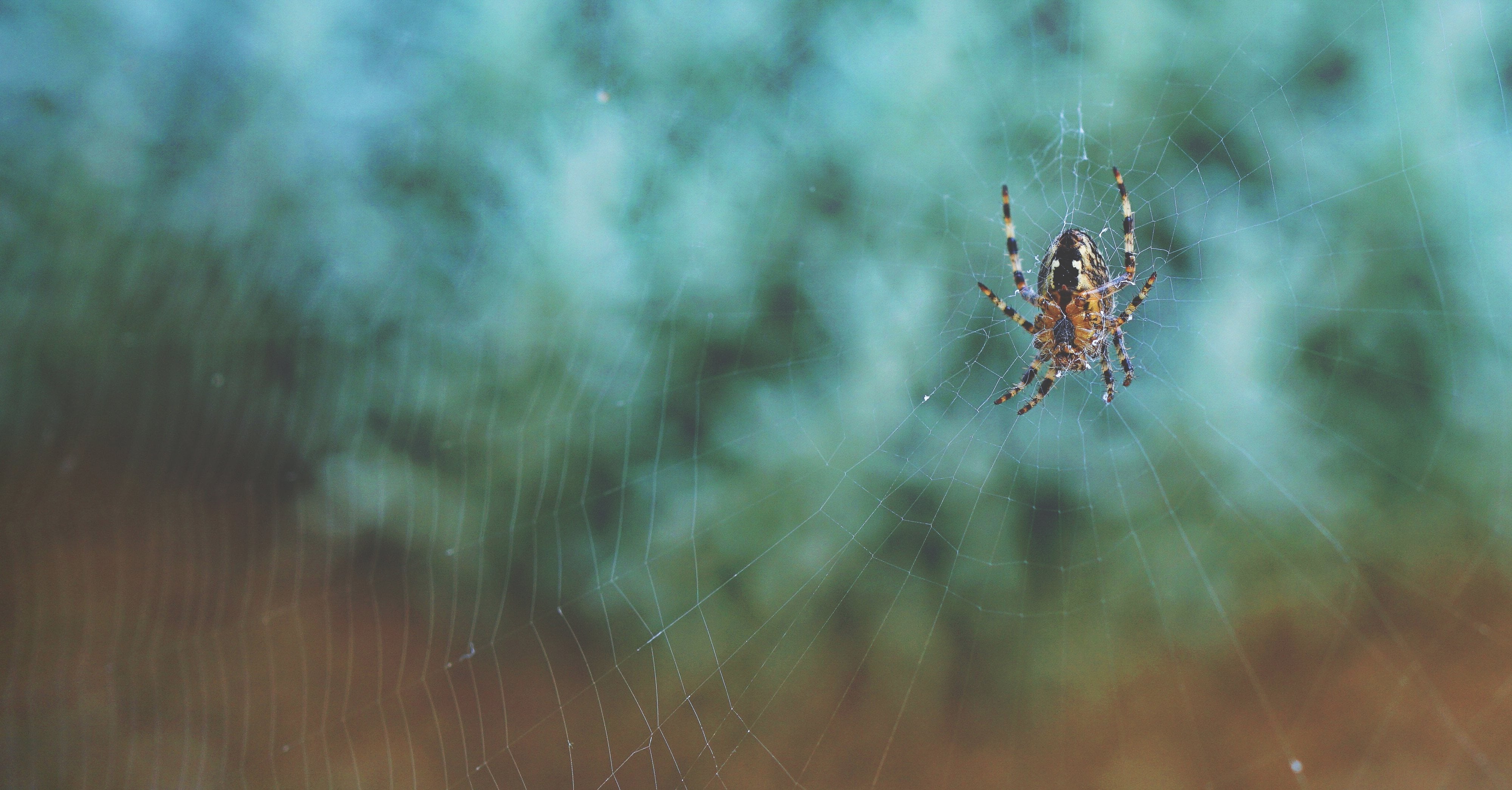 what-do-dreams-about-bugs-mean-popsugar-smart-living