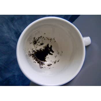 reading tea leaves harry potter