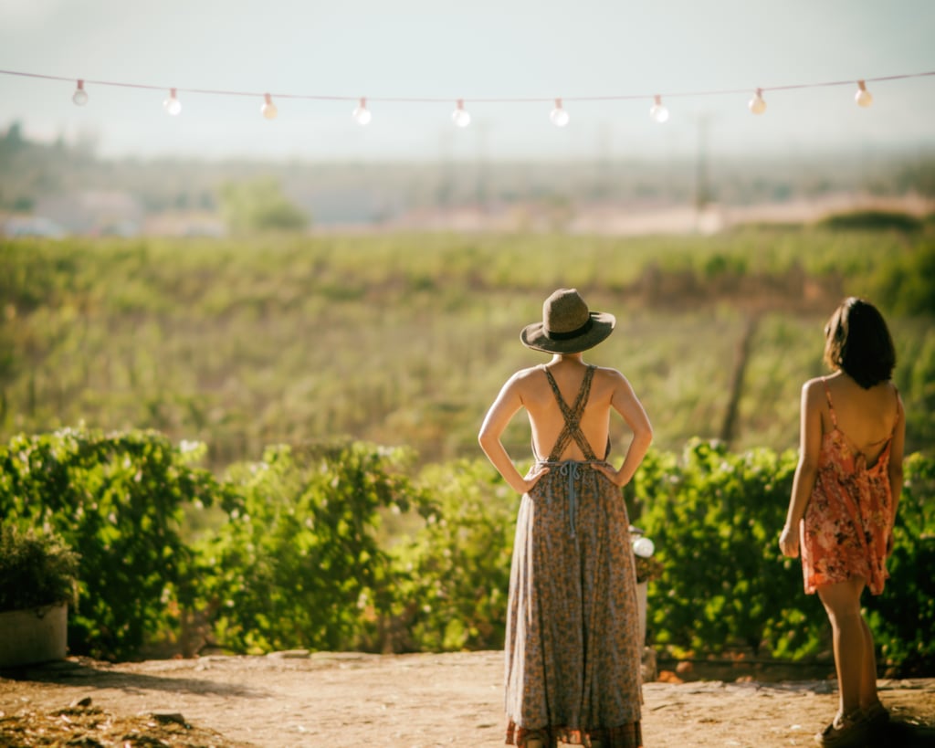 Virgo (Aug. 23-Sept. 22): Wine Tasting