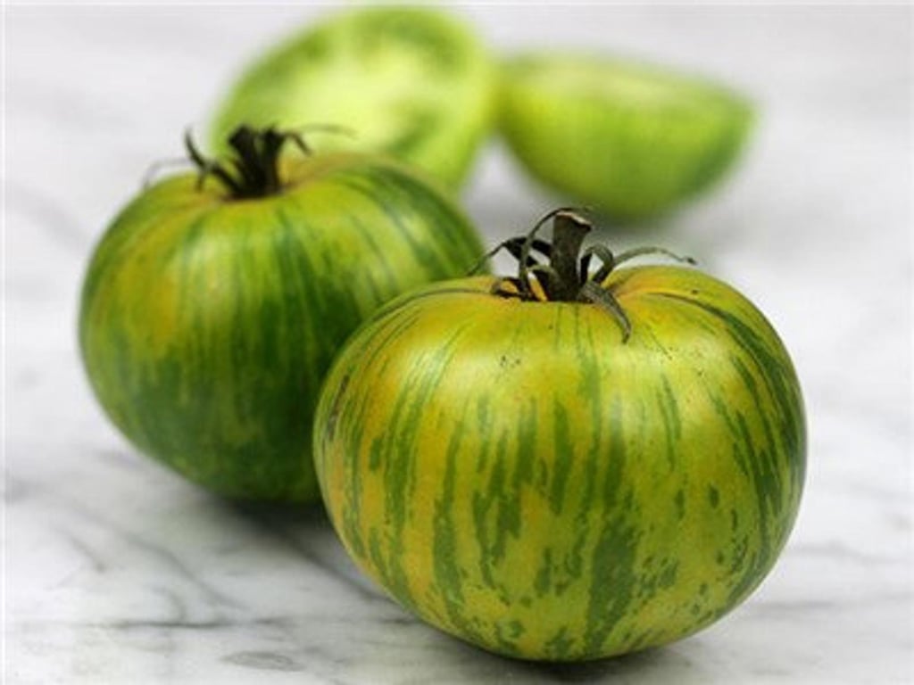 green zebra tomato plants for sale