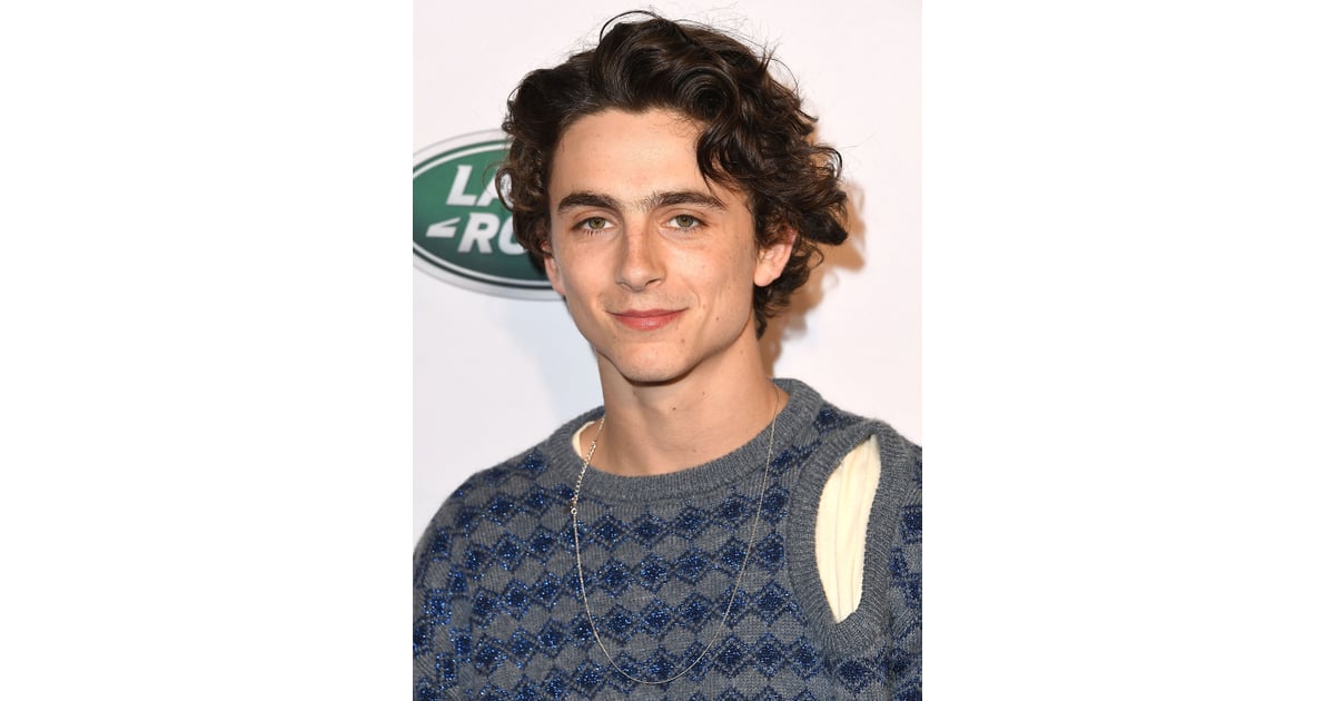 timothée chalamet funko pop