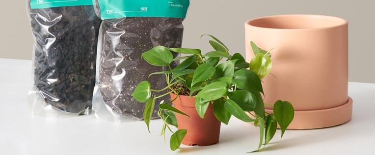 Gifts For Plant Parents