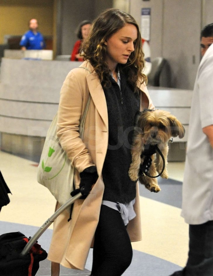 Pictures of Natalie Portman Pregnant 2011-01-04 21:12:21 ...