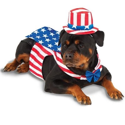 Rubies Uncle Sam Big Dog Pet Costume