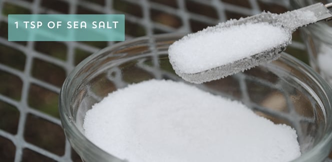 Measure 1 Teaspoon Sea Salt