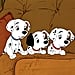 The Best Disney Names For Girl and Boy Dogs in 2020