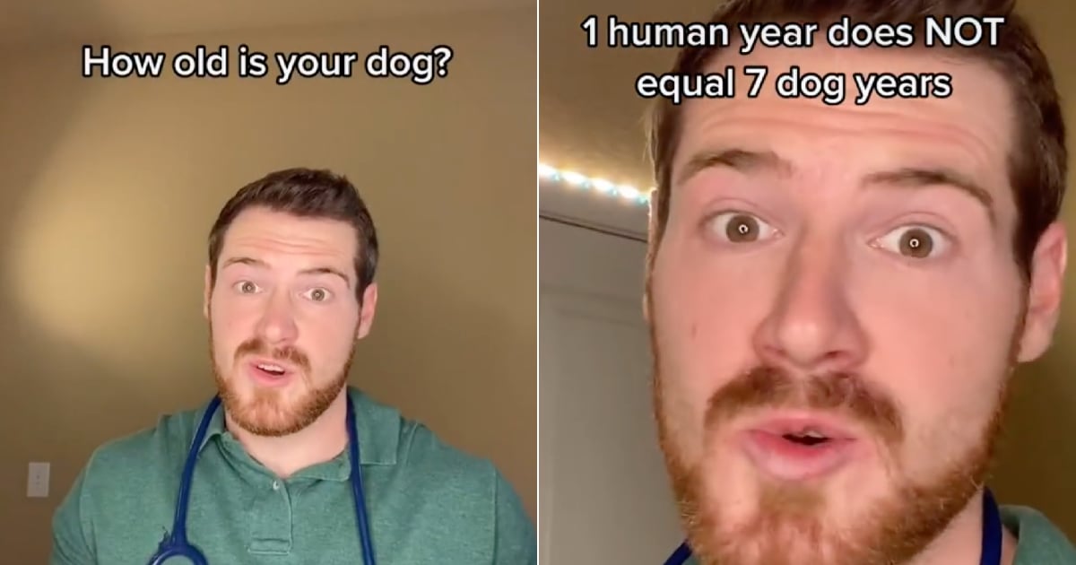 Vet s TikTok Video Says