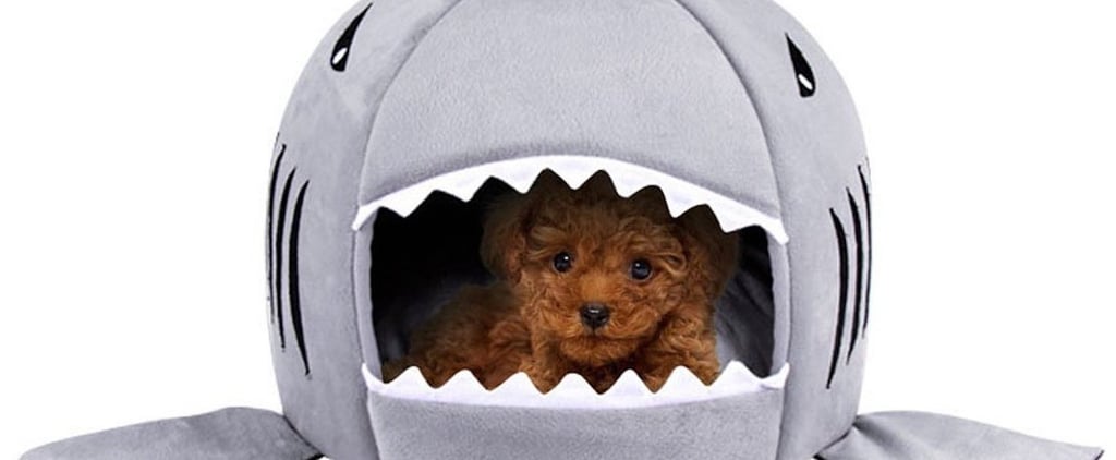 Dog Houses on Amazon