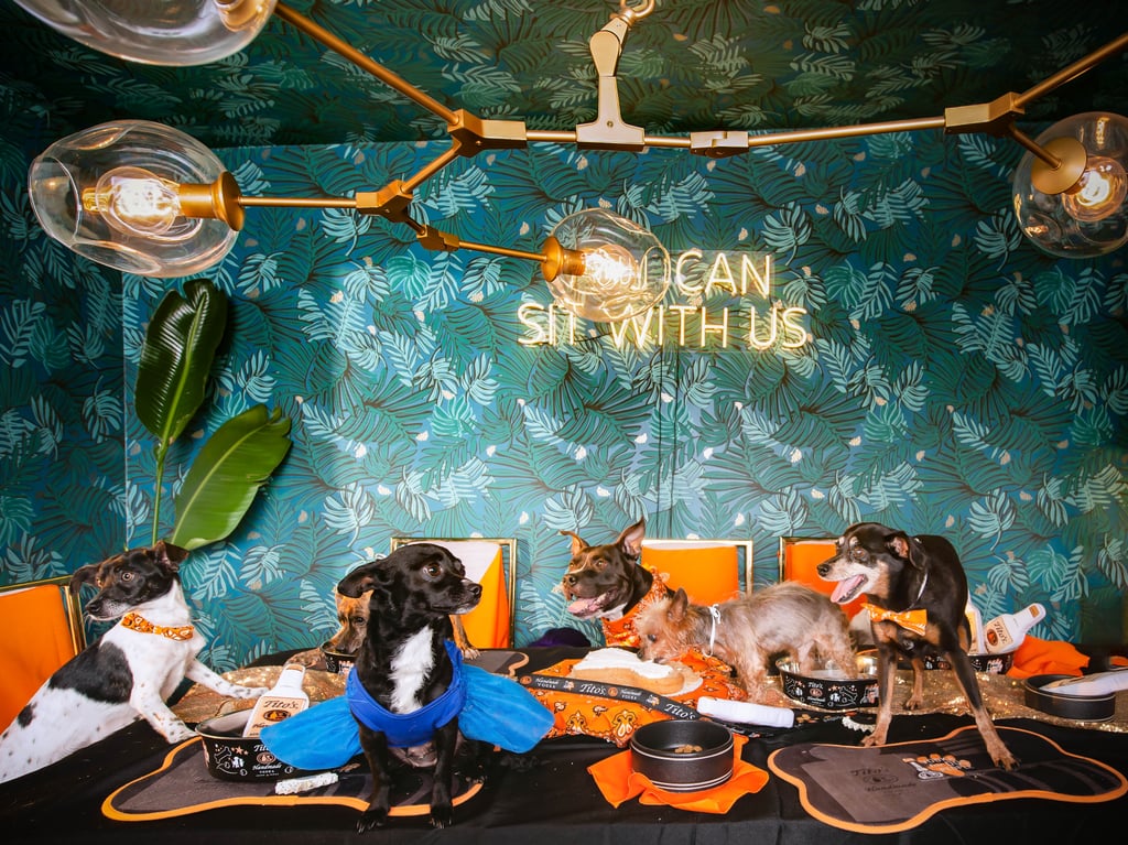 Photos of Dogs at a Fancy Dinner Party to Promote Adoption