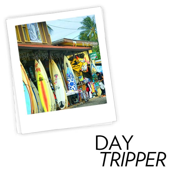 Summer Travel Guide: The Beach Summer Travel Guide: The Beach